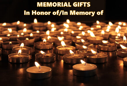 Give In Honor/In Memory